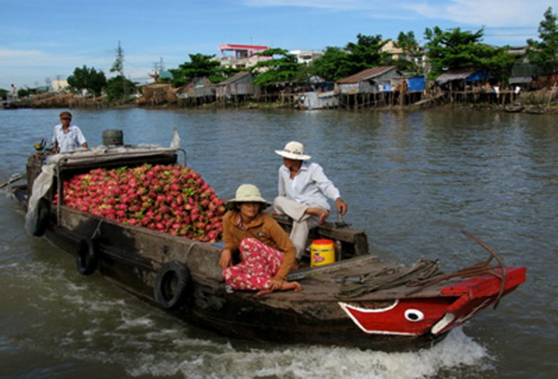 Mekong Delta Tour from Ho Chi Minh 2 Days (My Tho - Ben Tre - Can Tho)