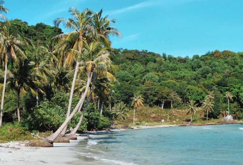 Tour from Saigon to Phu Quoc 4 Days 3 Nights