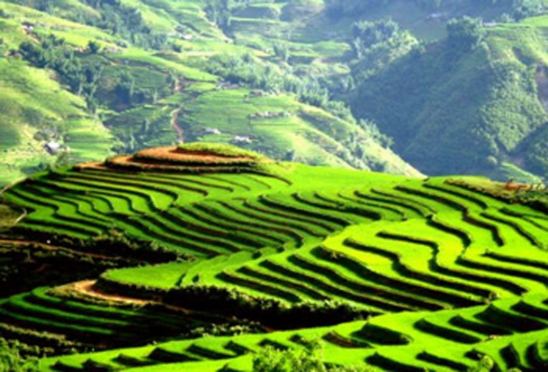 Northern Vietnam Family Tour – 7 Days
